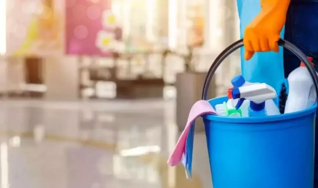 Cómo solicitar el subsidio de incapacidad temporal para empleadas domésticas