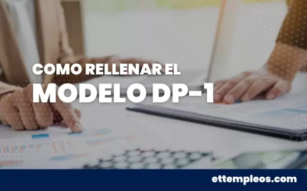 como rellenar el modelo dp-1