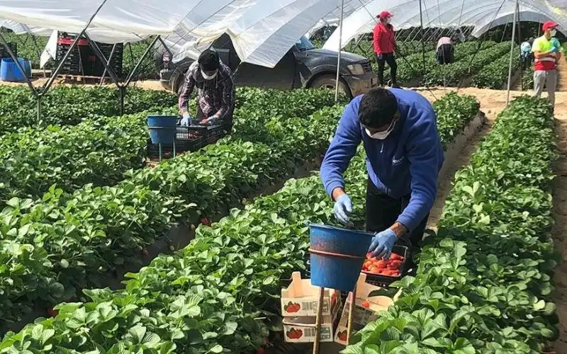 nueva directiva para la emisión de permisos de residencia y trabajo